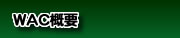 WAC�T�v�i���C���E�A�N�Z�T���[�Y�E�N���G�C�V�����j
