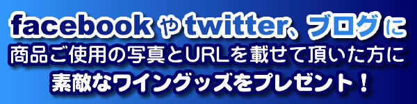 faceboox�Atwitter�A�u���O�ɏ��i���g�p�ʐ^���e�Ńv���[���g
