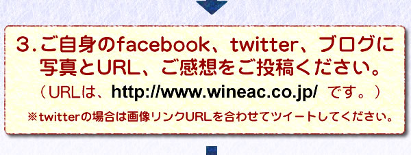 3.faceboox��twitter�A�u���O�Ɏʐ^��URL�𓊍e