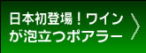 �f�L�����^�X�E�G�A��