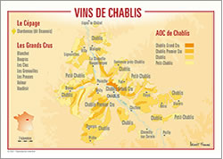 VINS DE CHABLIS